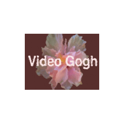 Video Gogh