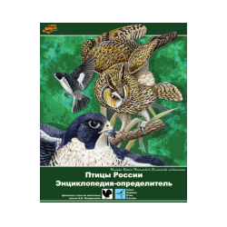 Birds of Russia. Encyclopedia-determinant