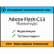 Самоучитель «Adobe Flash CS3. Полный курс»