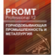 PROMT Professional Mining and Metallurgy 12