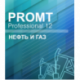 PROMT Professional Oil and Gas 12
