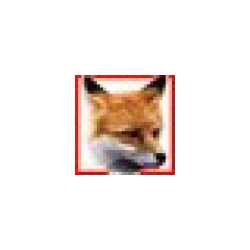 Fox Manager ISO