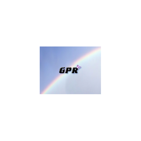 GPR Business Automation System
