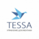 The module of graphic visualization of business processes for the TESSA platform