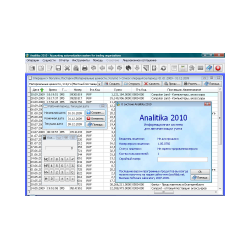 Analitika 2010 net