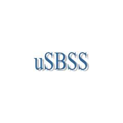 USBSS - synchronization of distributed heterogeneous databases (UNICODE-version)