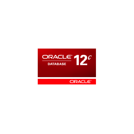 Oracle Database 2 Standard Edition