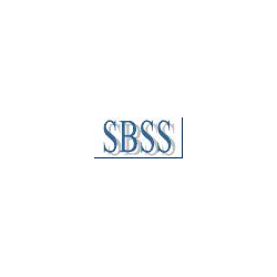 SBSS — синхронизация распределенных гетерогенных баз данных (ANSI-версия)