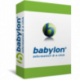 Babylon Corporate Glossary Builder