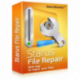 Starus File Repair
