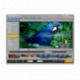SolveigMM Video Splitter 6 Portable Business Edition